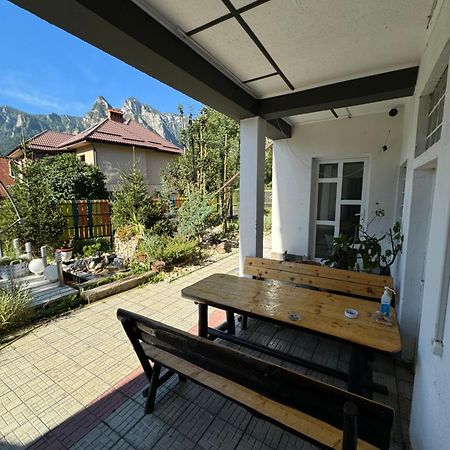 Hotel Casa David Buşteni Exterior foto