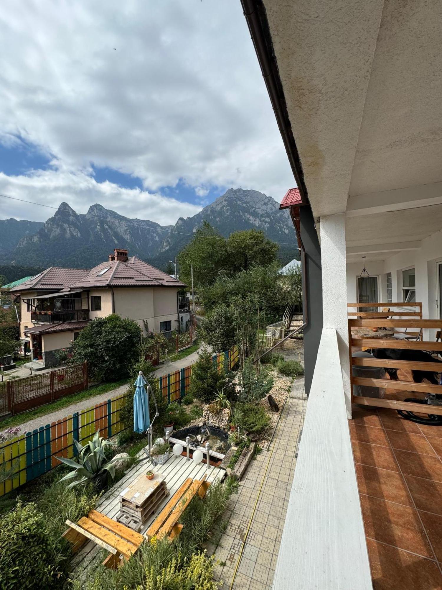 Hotel Casa David Buşteni Exterior foto